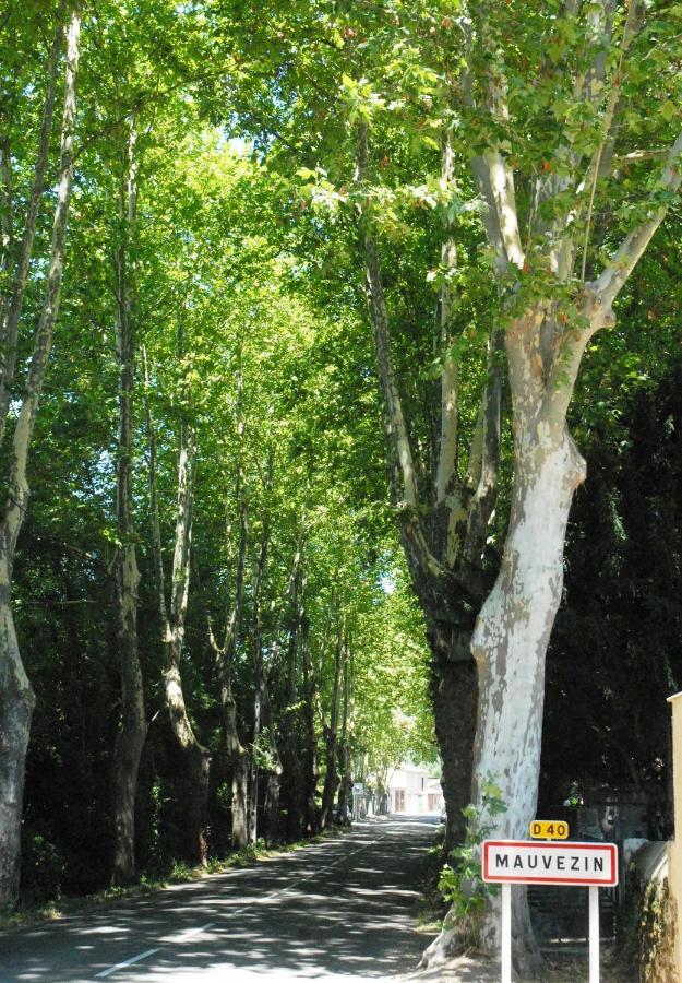Vvf Gers Gascogne Hotel Mauvezin  Bagian luar foto